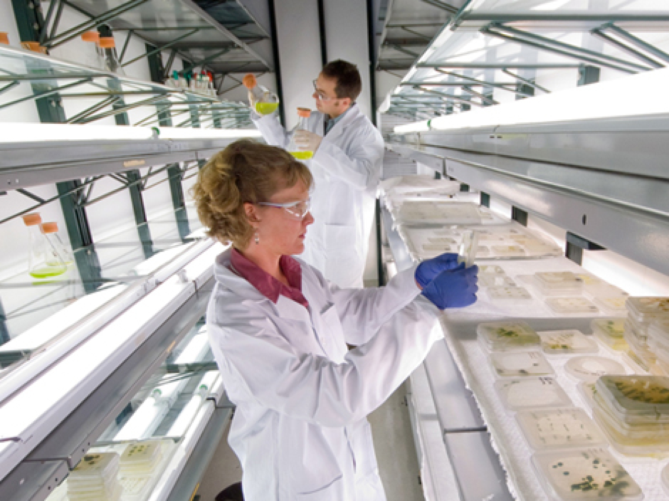 a photo of two scientists in a algae lab