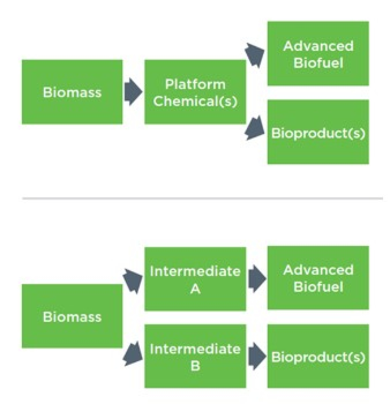 workflow process of bioproducts diagram