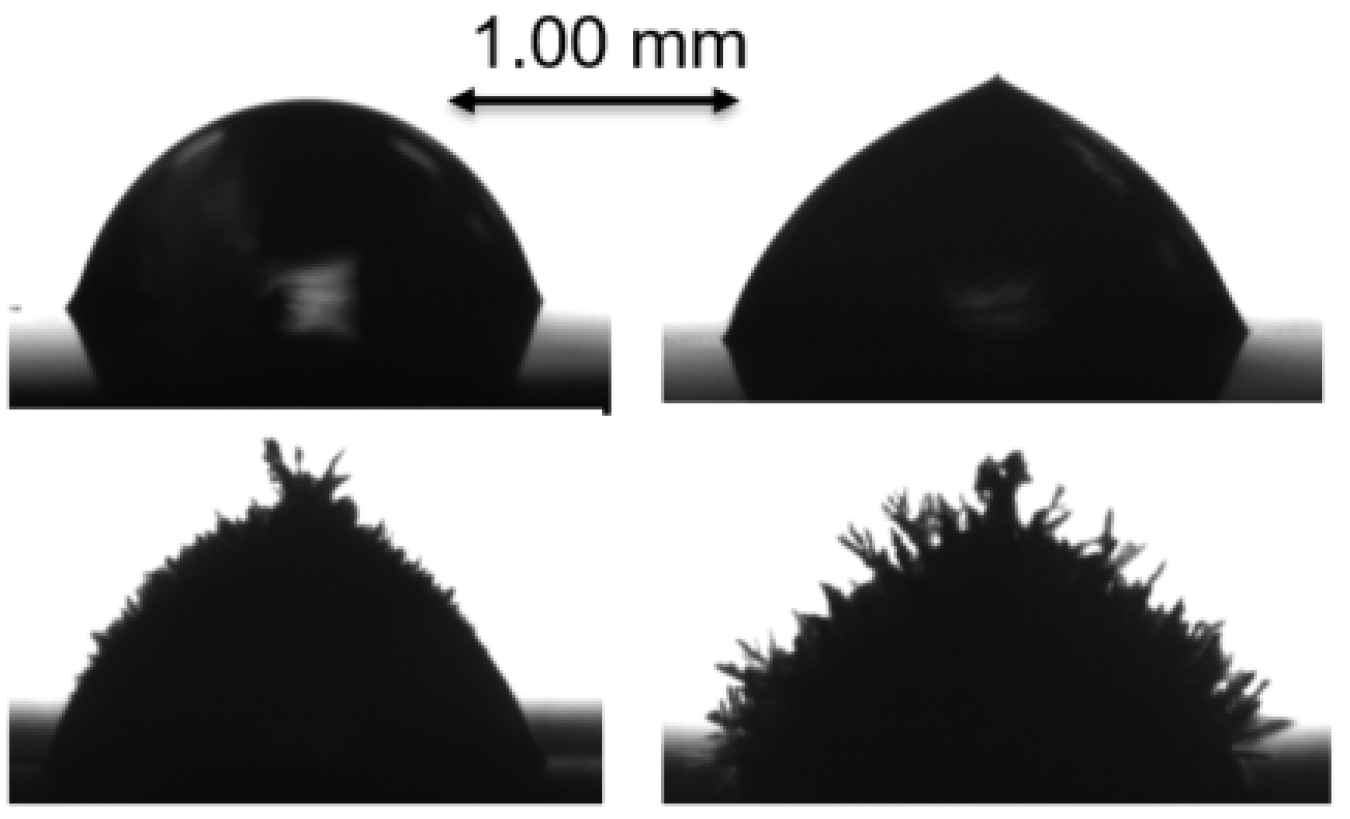 Figure 1: Frost growth process depends on surface morphology.