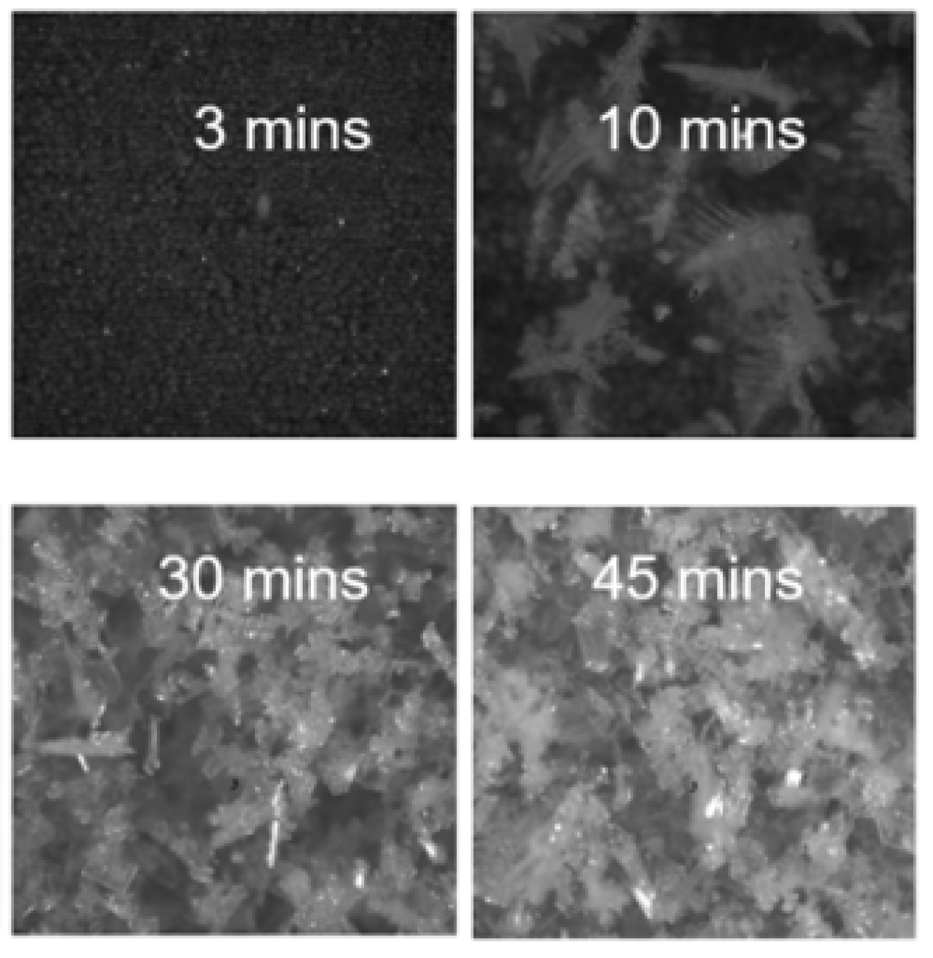 Figure 1: Frost growth process depends on surface morphology.