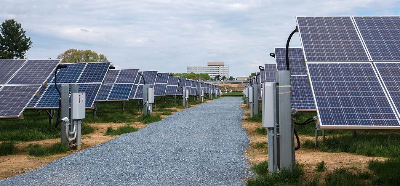 Photovoltaic panels in a row with a gravel path between them.