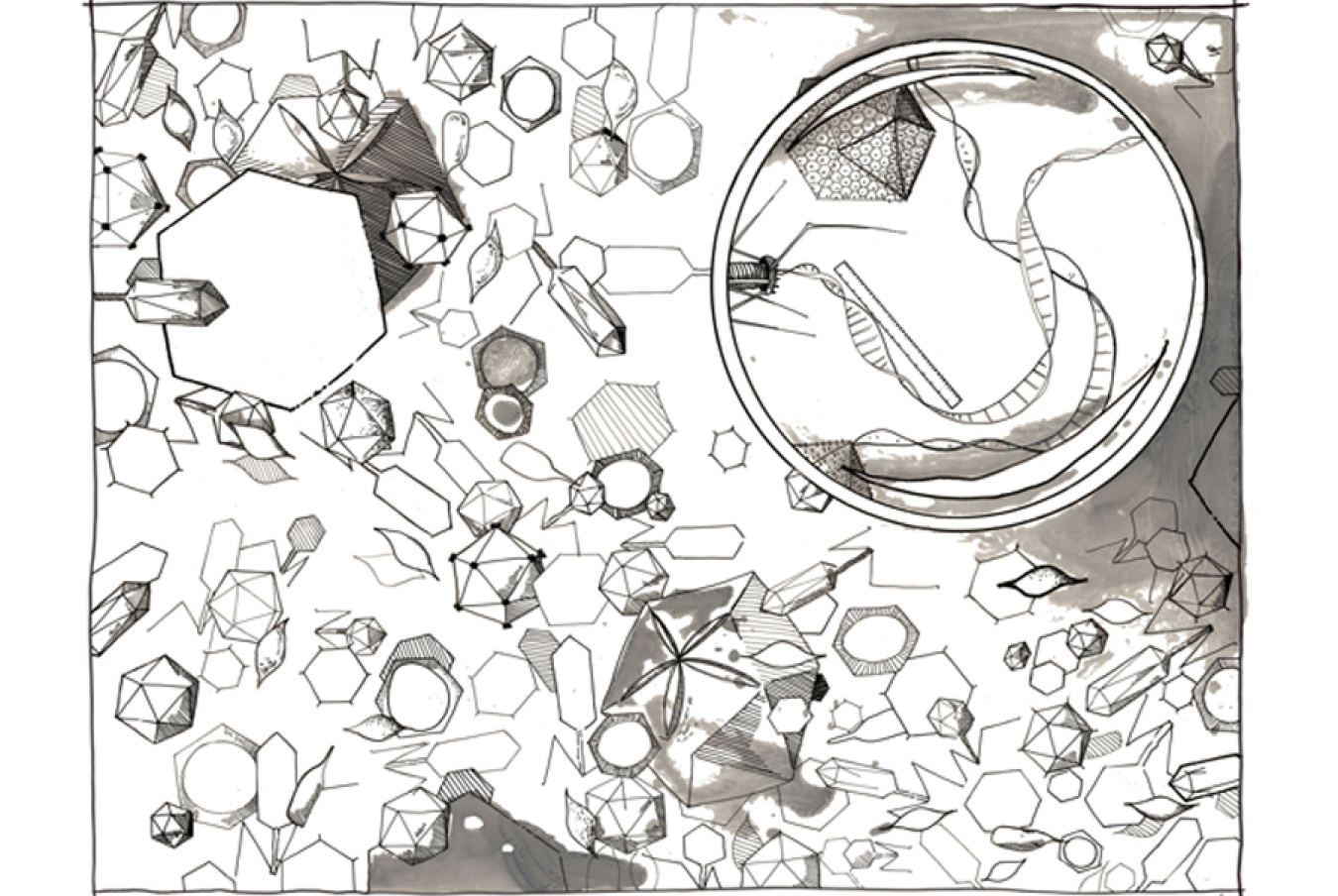 Artist rendering of genome standards being applied to deciphering the extensive diversity of viruses.