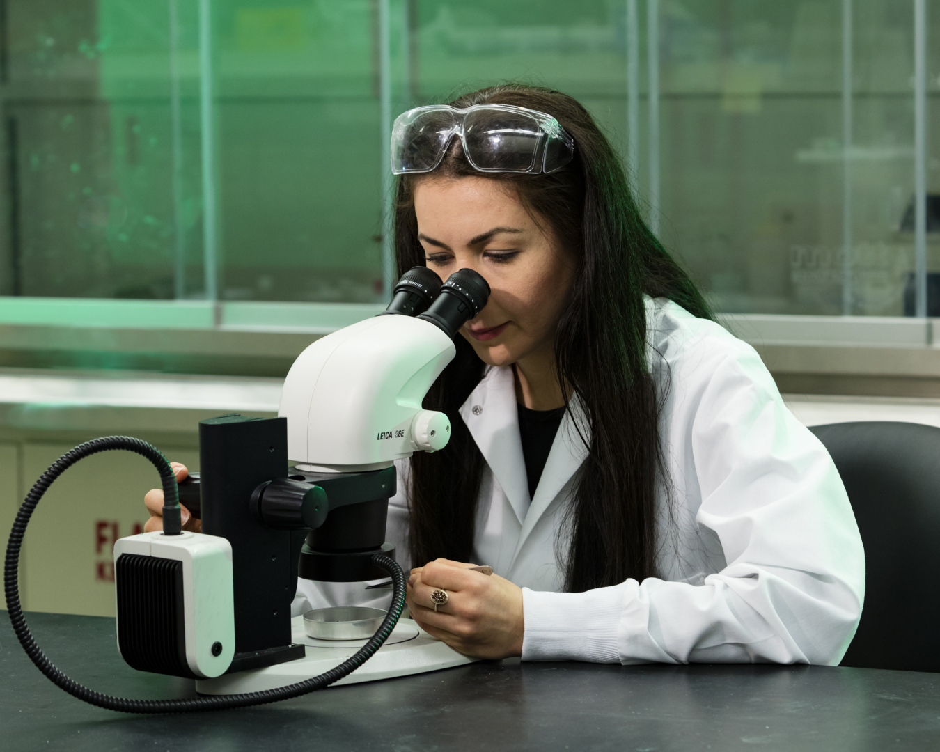 Athena Sefat at ORNL