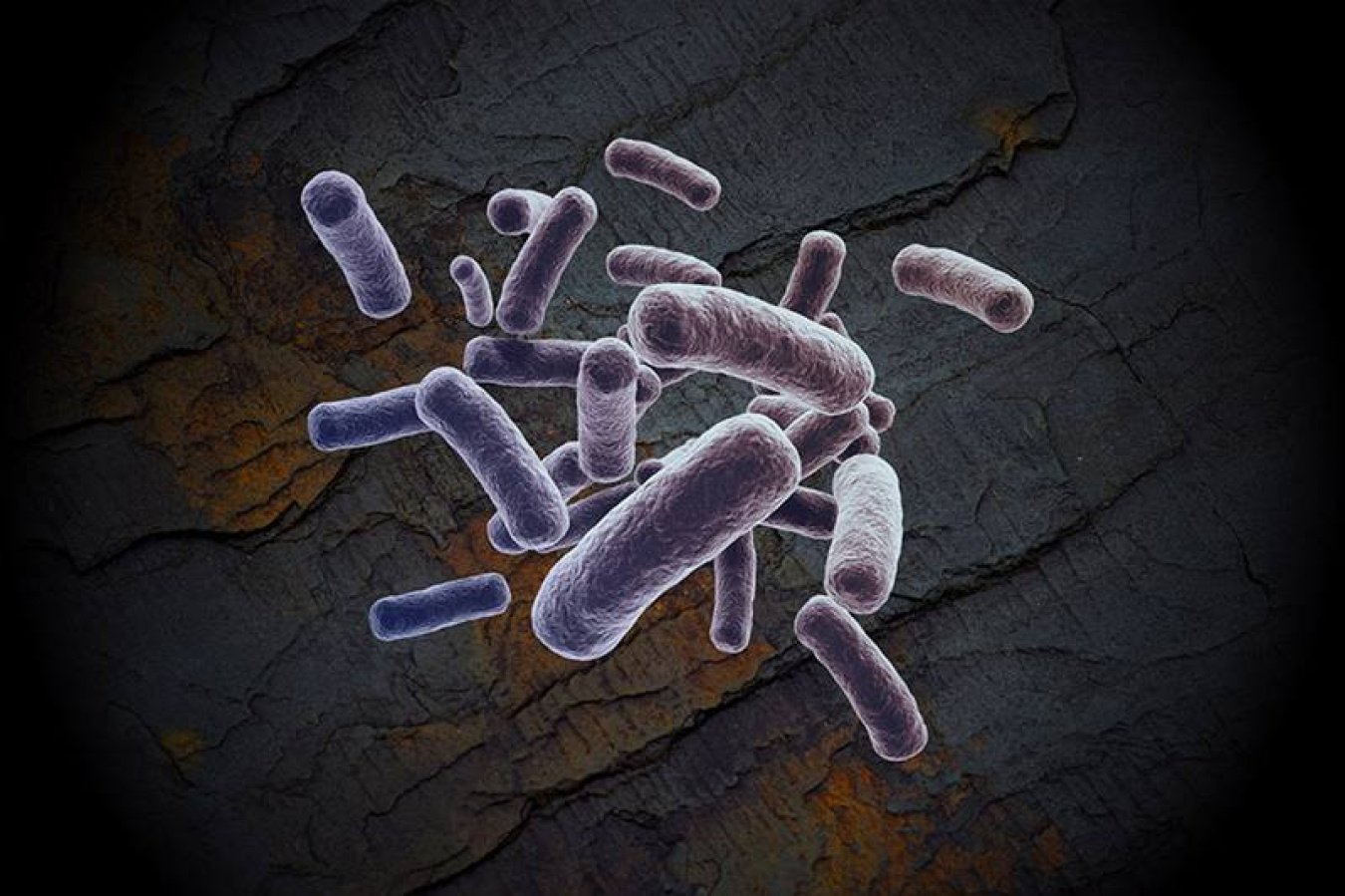 Scientists are studying the microbial communities created during the fracking process to see how they can be managed to improve gas production.