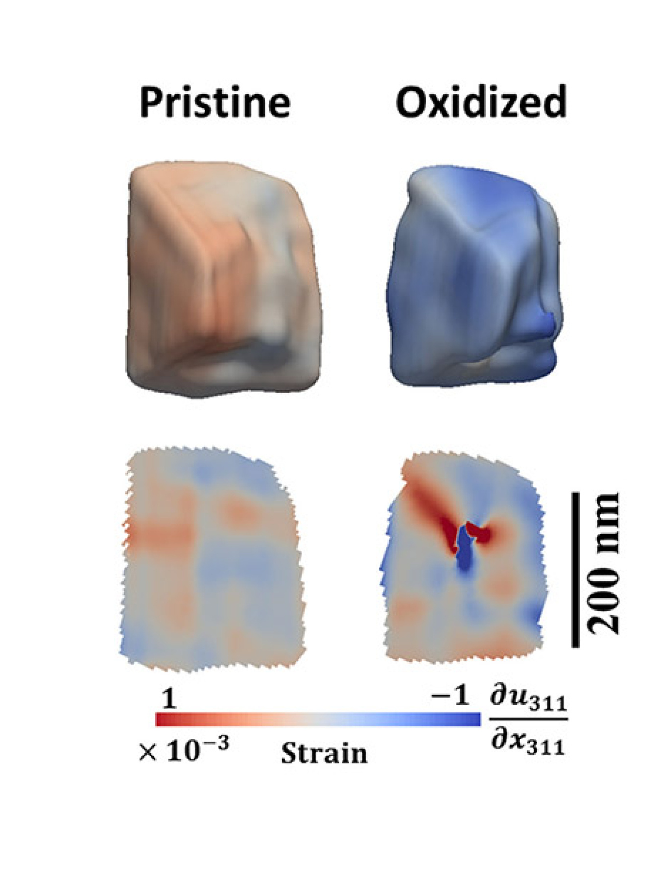 Three-dimensional maps of a single magnetite crystal show morphology (top) and cross-sectional views (bottom) of the internal strain fields, both before (left) and after (right) oxidative dissolution of the crystal in an acidic aqueous solution. 
