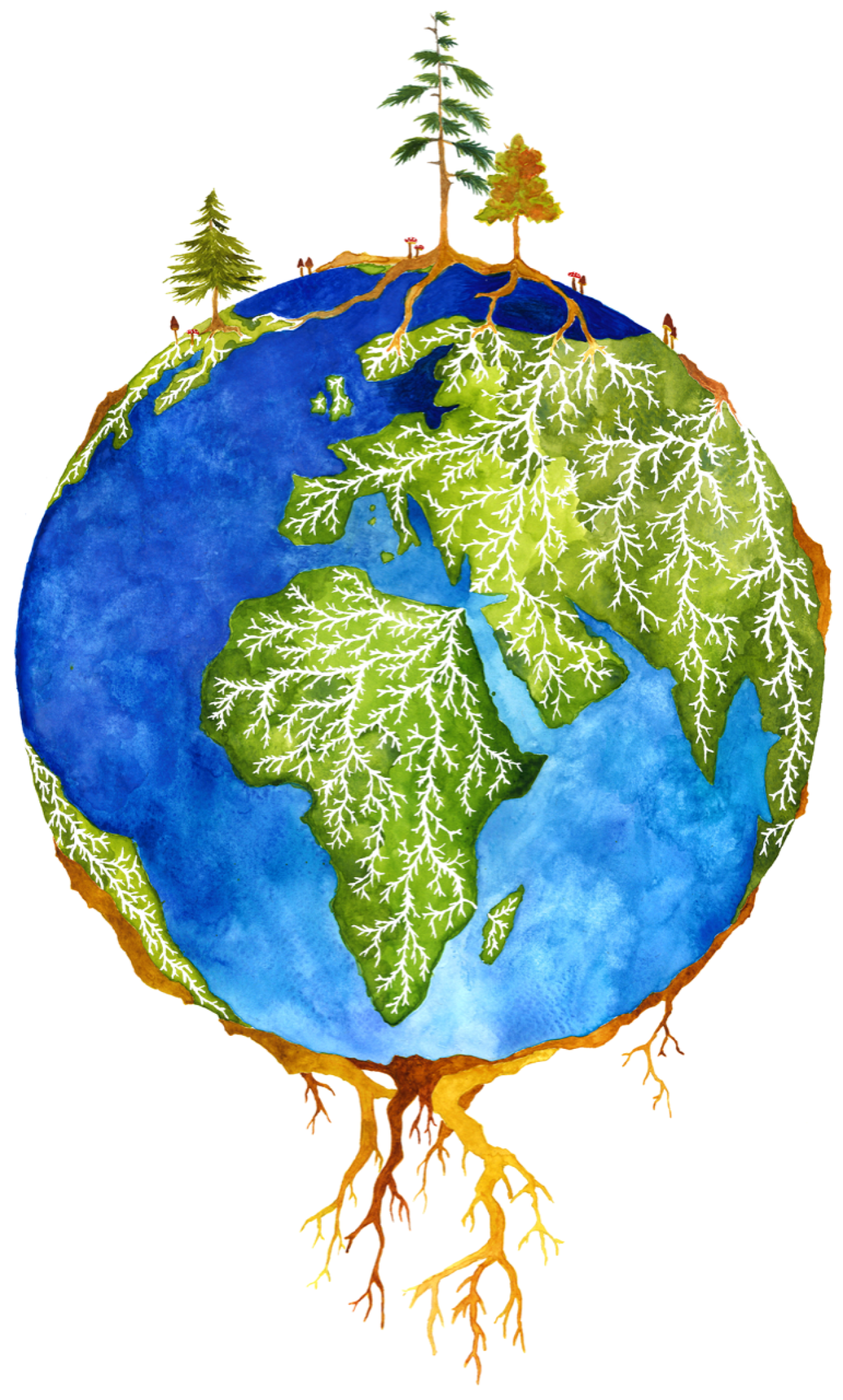 Forests and microbes are symbiotically connected globally.