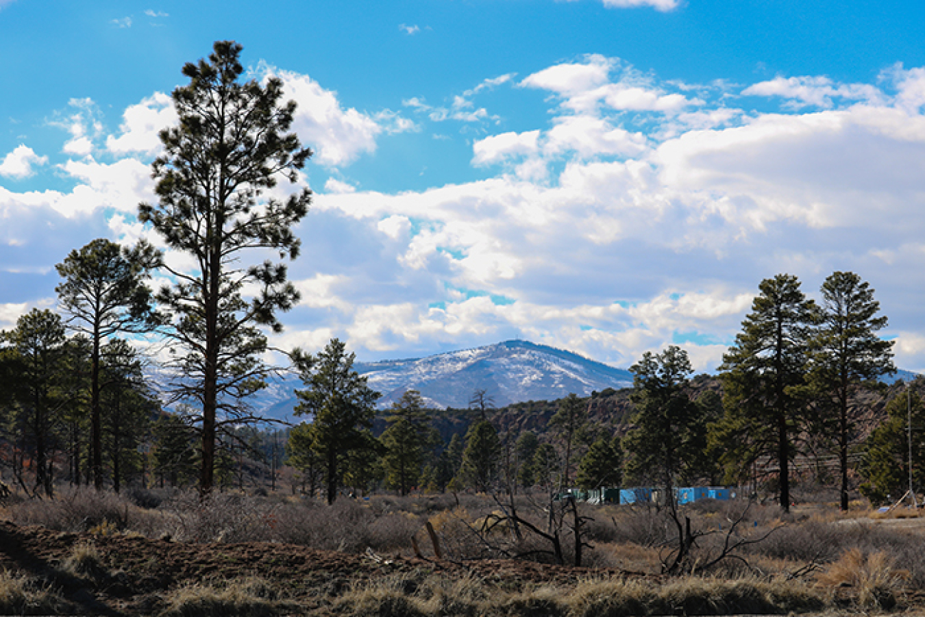 Infrastructure to support the EM Los Alamos Field Office’s interim measure to control migration of a contaminant plume has been constructed in Mortandad Canyon.