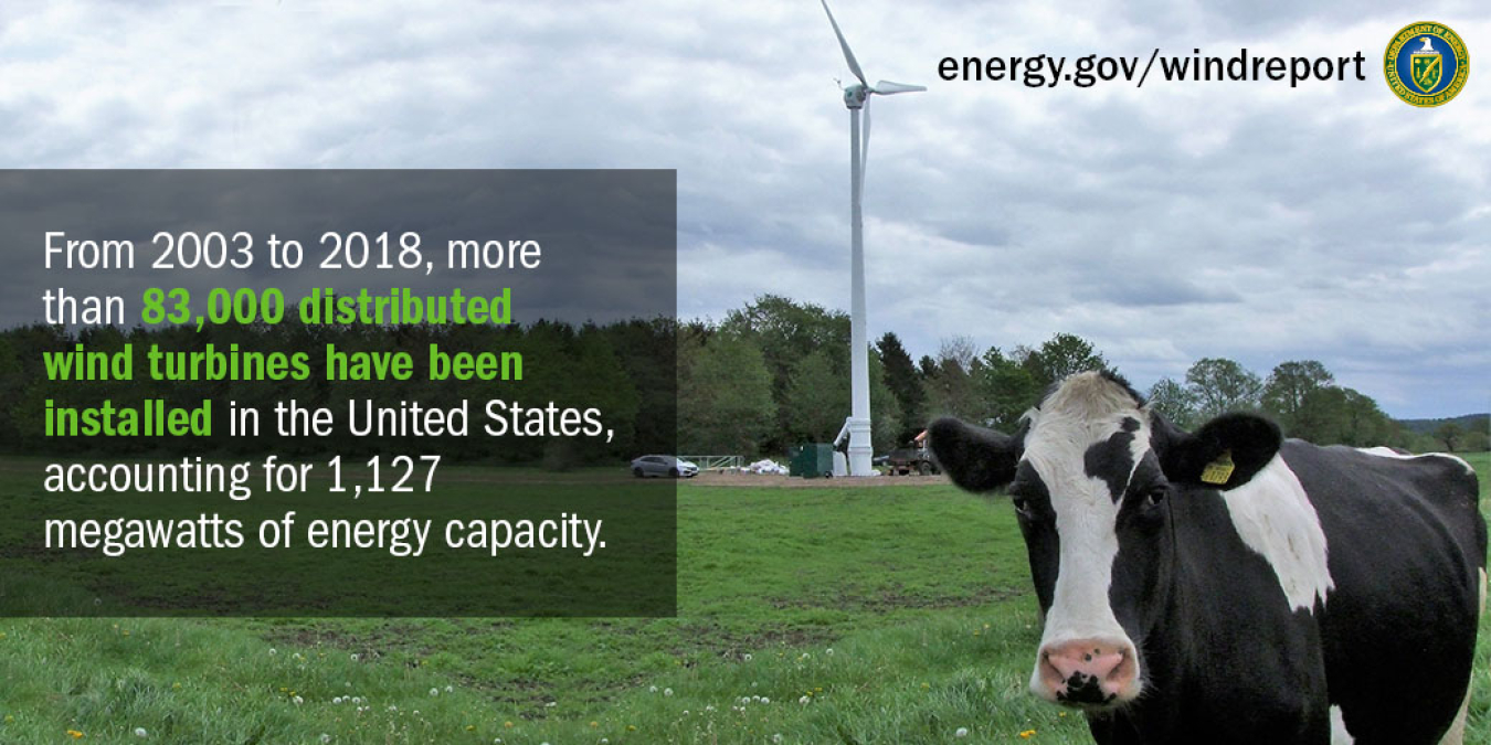 A cow stares towards the direction of the viewer in front of a small wind turbine. 