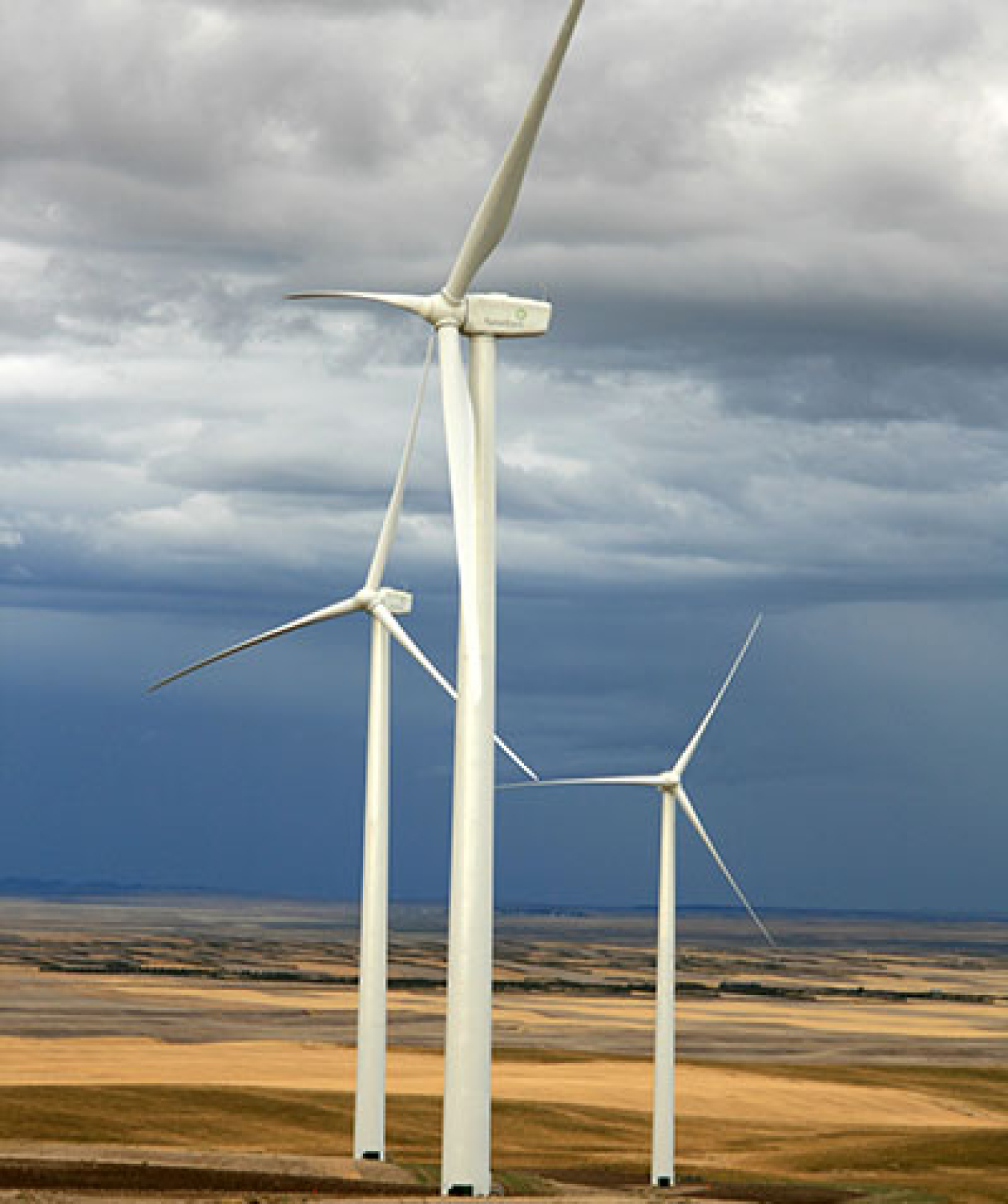 wind turbines in a field.