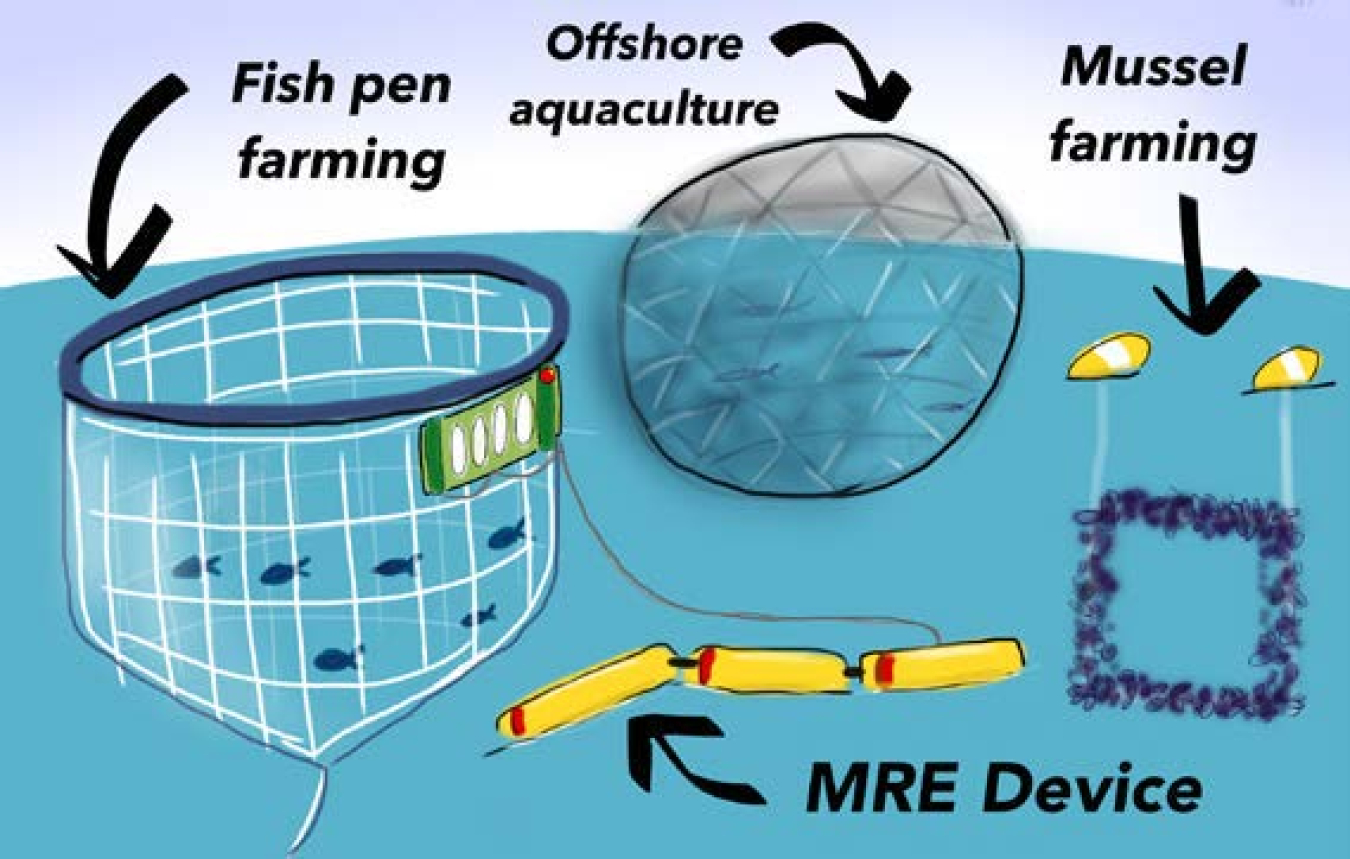 Graphic illustrating Offshore Marine Aquaculture.