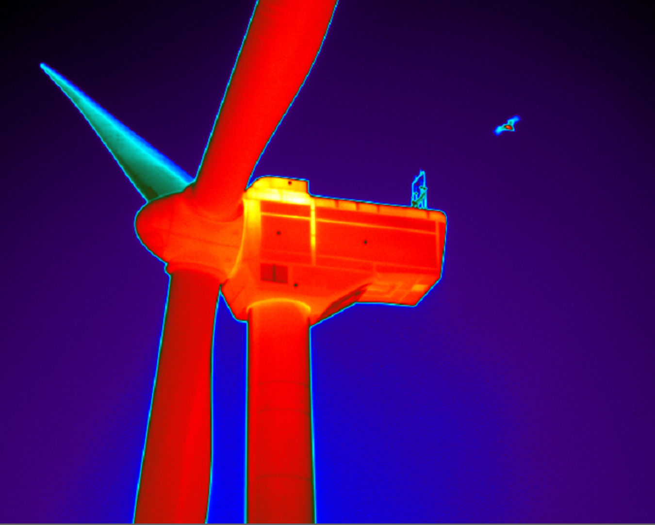 thermal view of a wind turbine and wildlife.