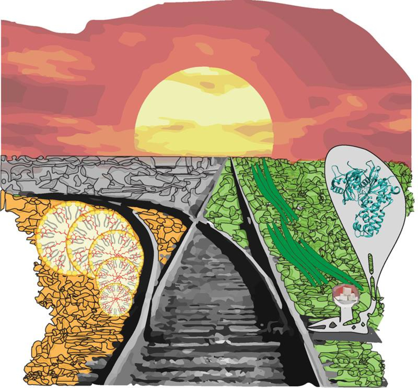 A research team from UC Berkeley found that hexokinase could act as a switch between photosynthesis and accumulation of bioproducts including lipids and antioxidants in algae.