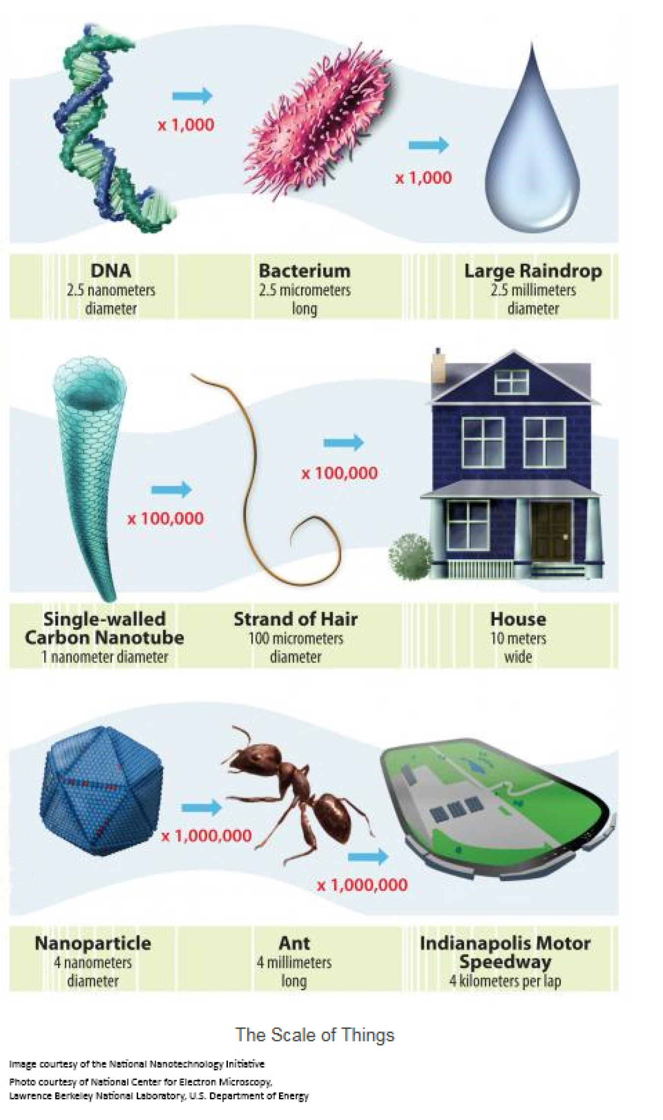 The illustration below has three visual examples of the size and the scale of nanotechnology, showing just how small things at the nanoscale actually are.