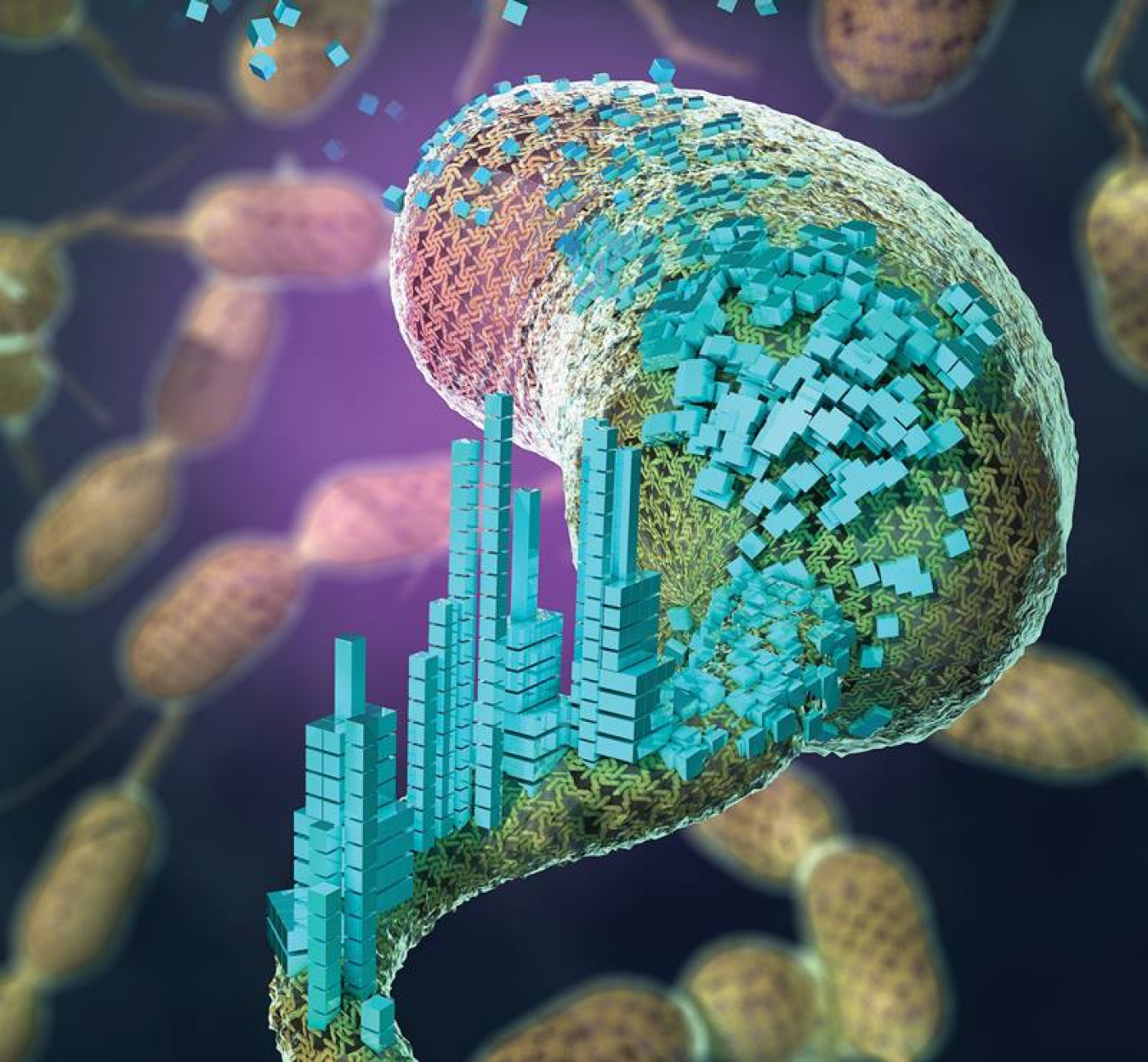 When nanomaterials are attached to the surface-layer proteins of Caulobacter crescentus, the bacterium is transformed into a platform for creating self-assembling biomaterials. 