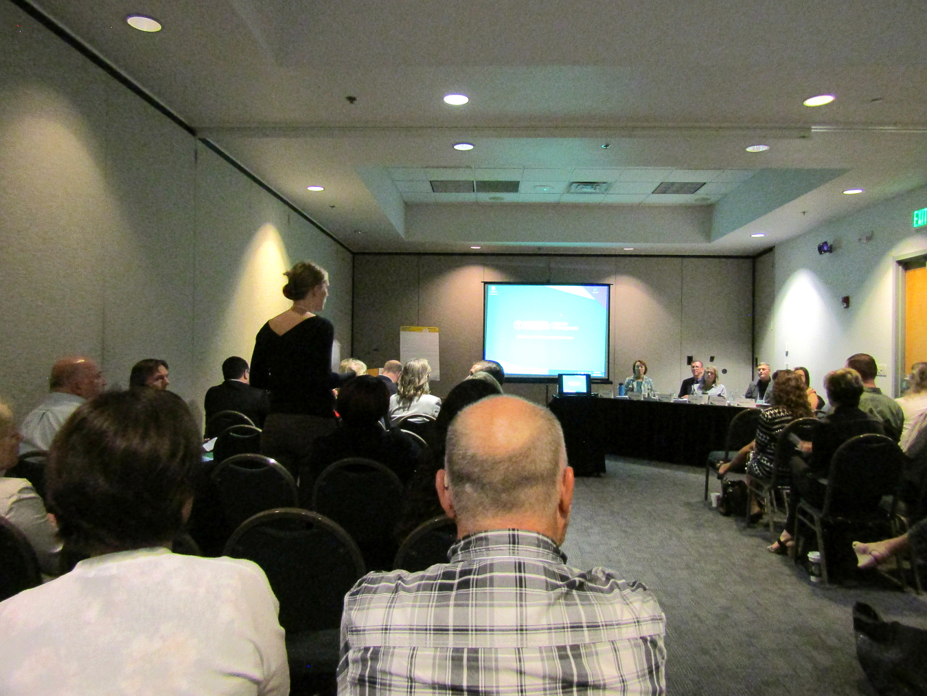 An audience member asks a question during a panel discussion regarding interpretive centers.