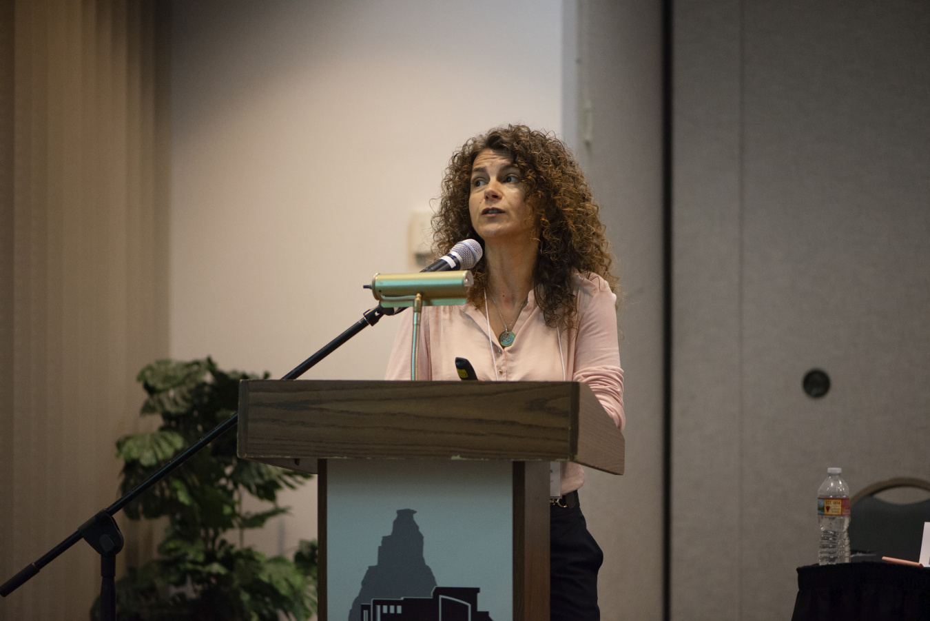 Maria de Lurdes Dinis provides an overview of the current issues faced with uranium remediation in Europe.