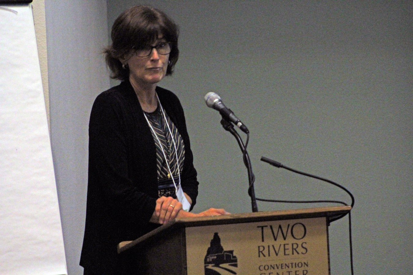 Mary Stallard shares her findings regarding vapor intrusion at the LEHR Superfund site.