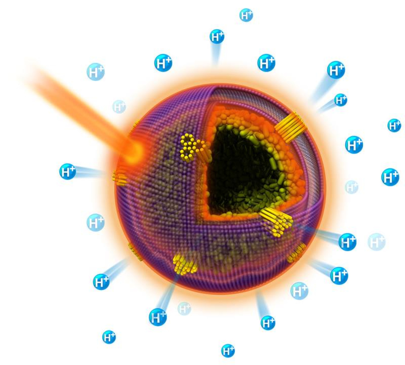 Plasmonic artificial cells are formed by self-assembly of Au–Ag nanorods into hollow compartments.