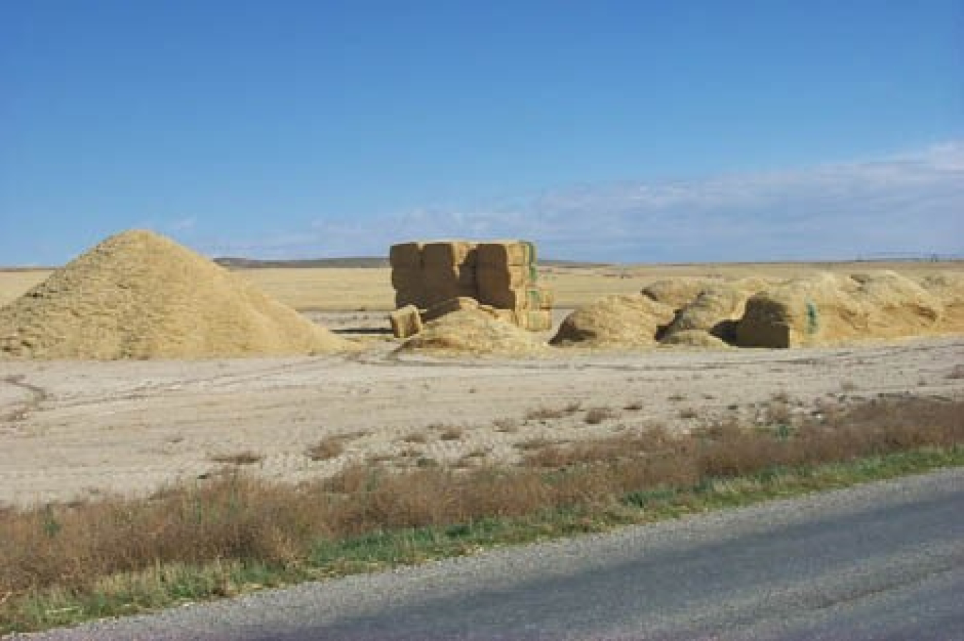 Three examples of storing biomass are shown in this photo—(from left to right), a loose pile of chopped material, a stack of large square bales, and in loaves. The green markings on the biomass serve the purpose of documenting the depth of moisture penetr