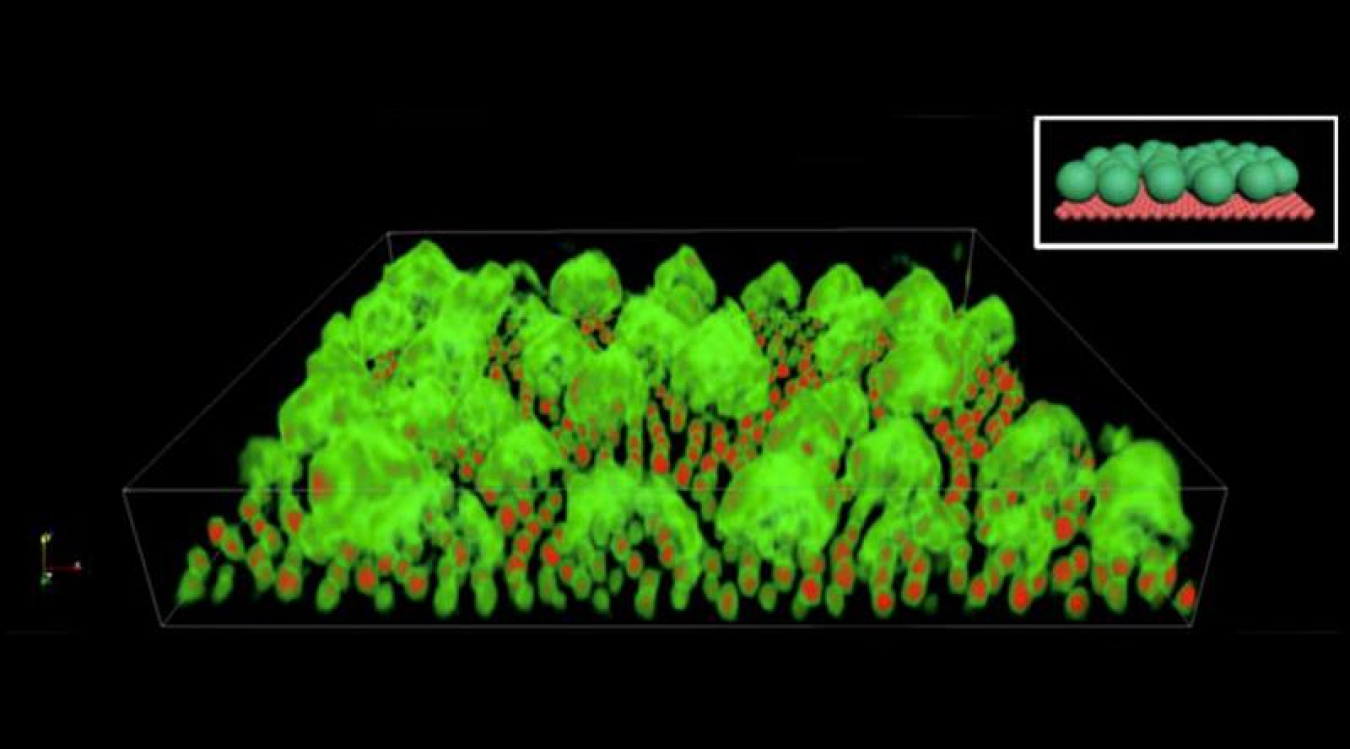 Researchers discovered that iron-oxide nanocrystals (red) and metal-organic frameworks (green) self-assemble into an unusual configuration that resembles a Chinese pastry. The inset (upper right) mimics the transmission electron microscopy image.