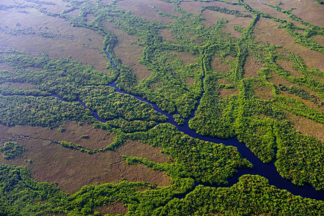 Everglades National Park