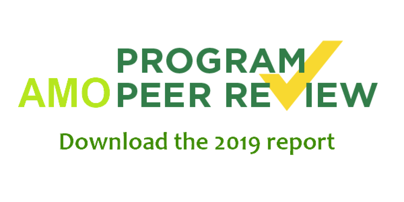 2019 peer review - download here