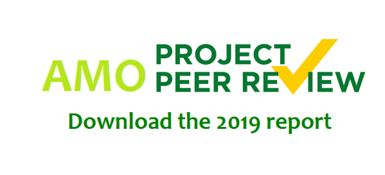 AMO Project Peer Review - Download the 2019 report