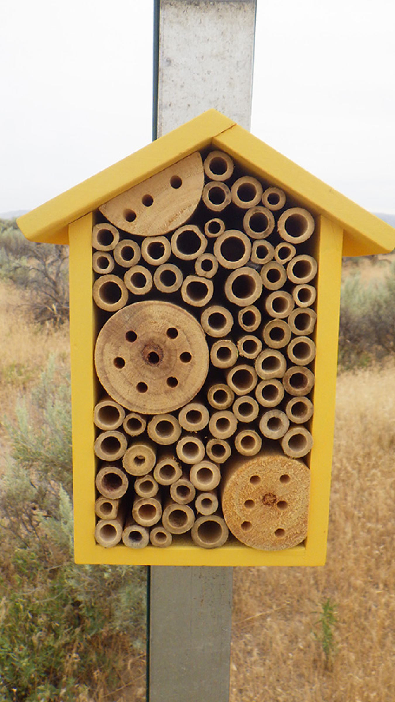 Workers with Mission Support Alliance recently installed 20 bee boxes as part of habitat mitigation efforts at the Hanford Site.