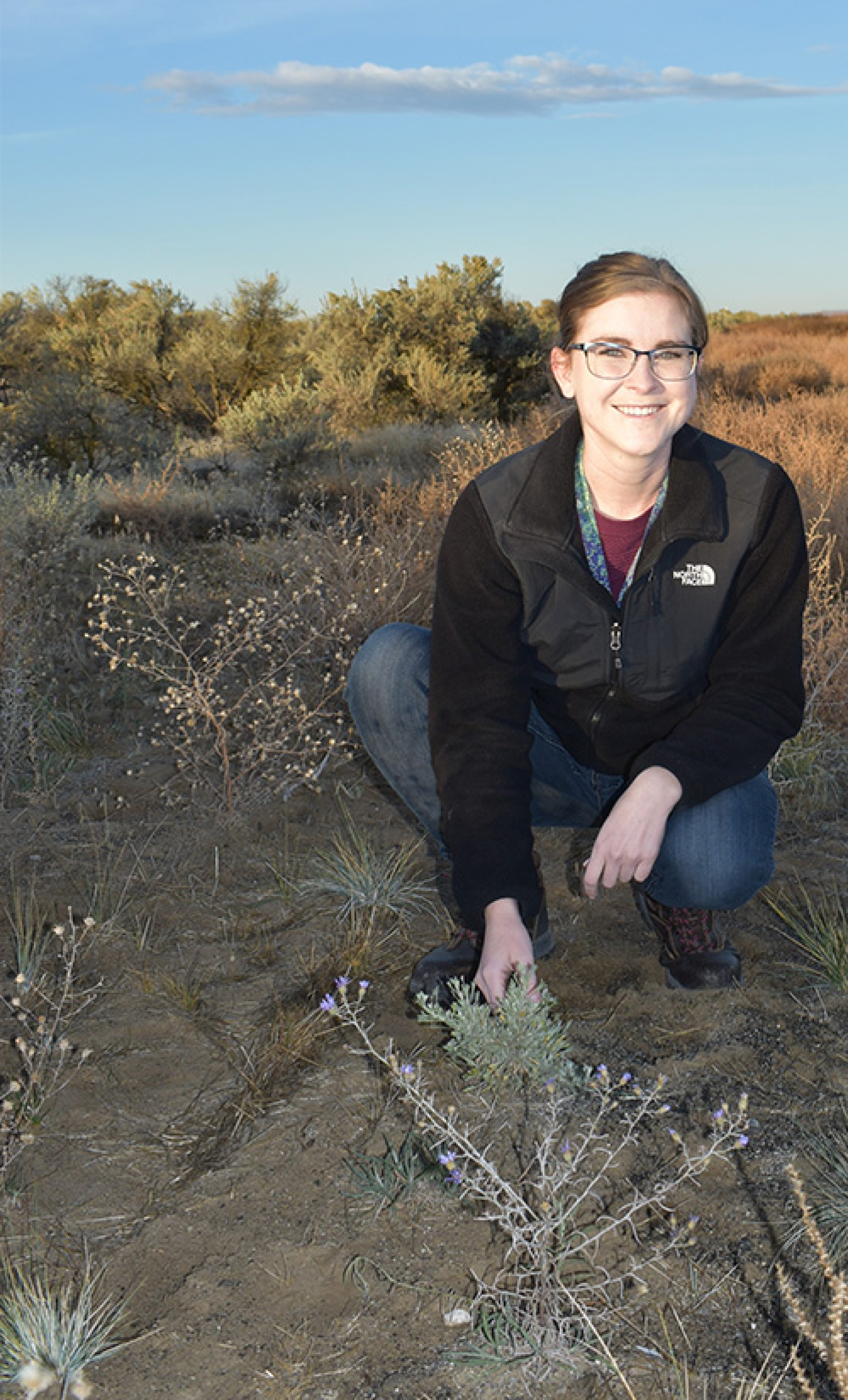 Emily Norris, an environmental scientist with Mission Support Alliance’s ecological monitoring and compliance program, is shown at a recently revegetated area near the bee boxes.