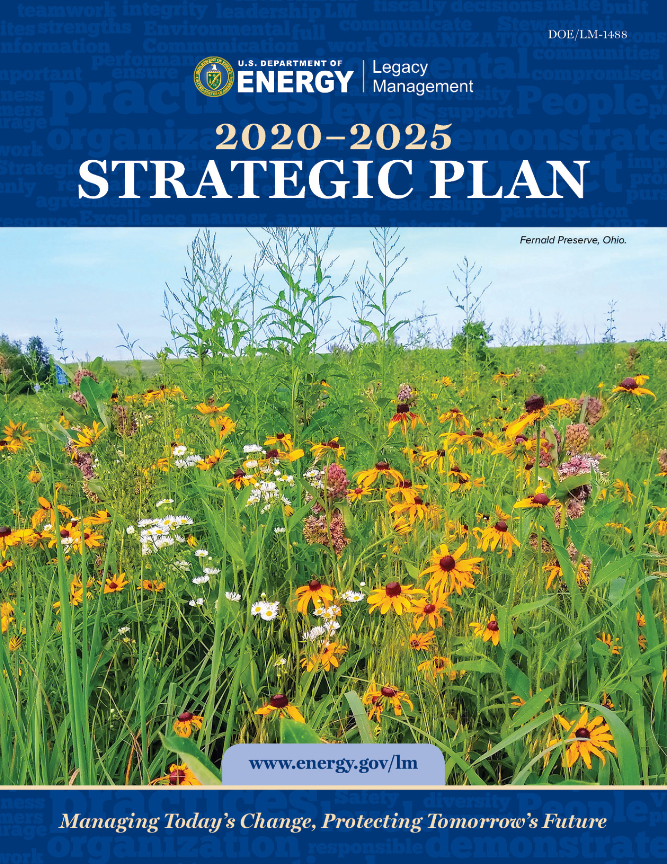 LM Strategic Plan 2020-2025 Front Cover