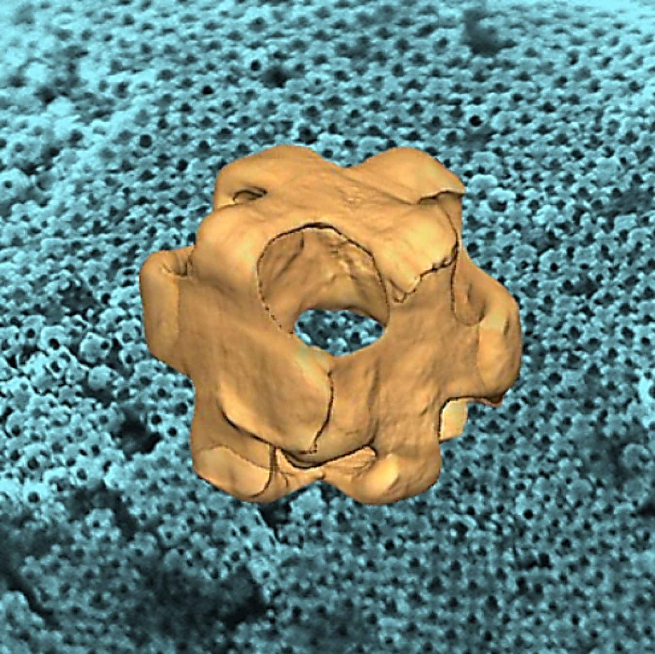 At center, a 3D electron tomogram image of a hollow gold-silver alloy nanowrapper showing the pores at each corner. The background is a scanning electron microscope image of a large number of nanowrappers assembled into a superlattice.