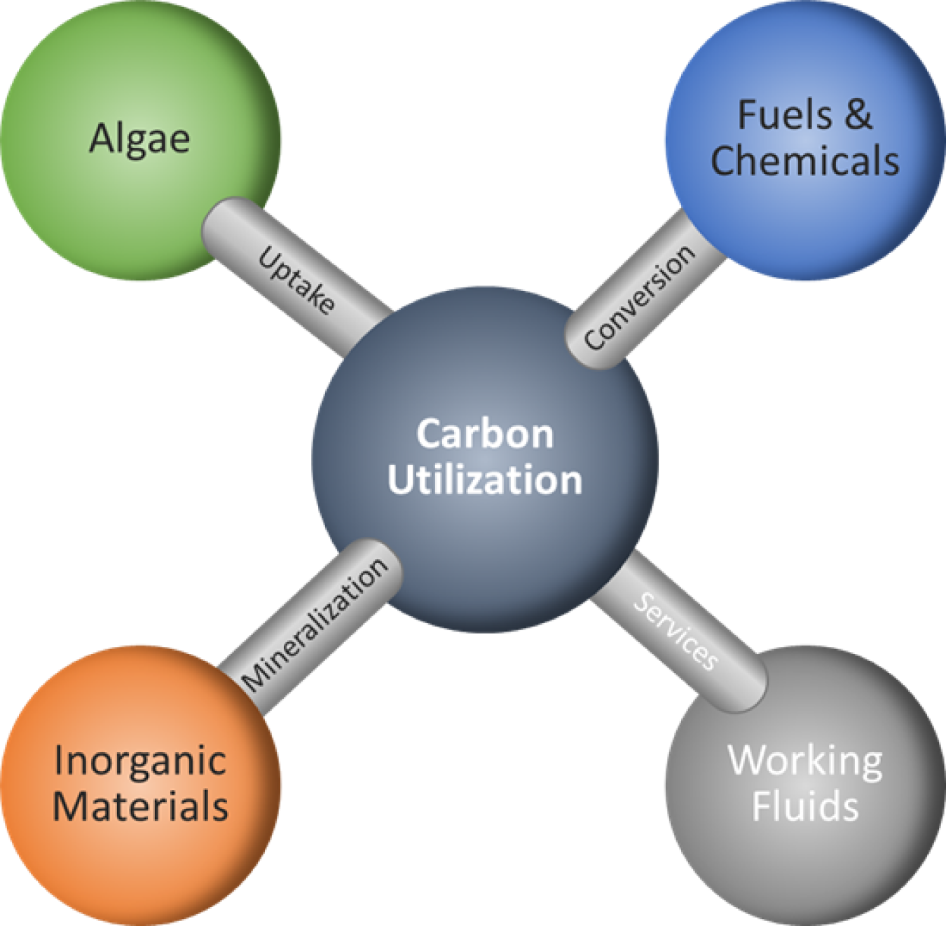 Carbon Utilization Diagram