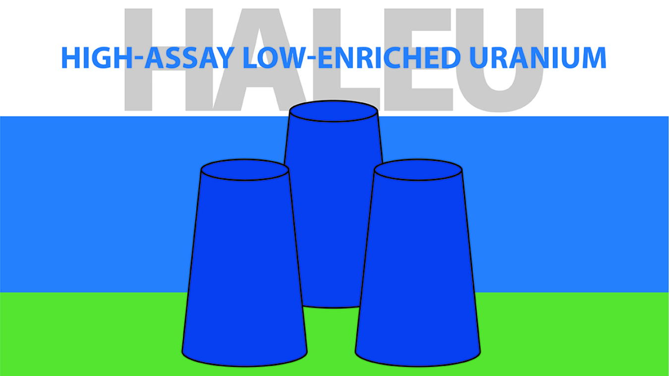 High-assay low-enriched uranium fuel