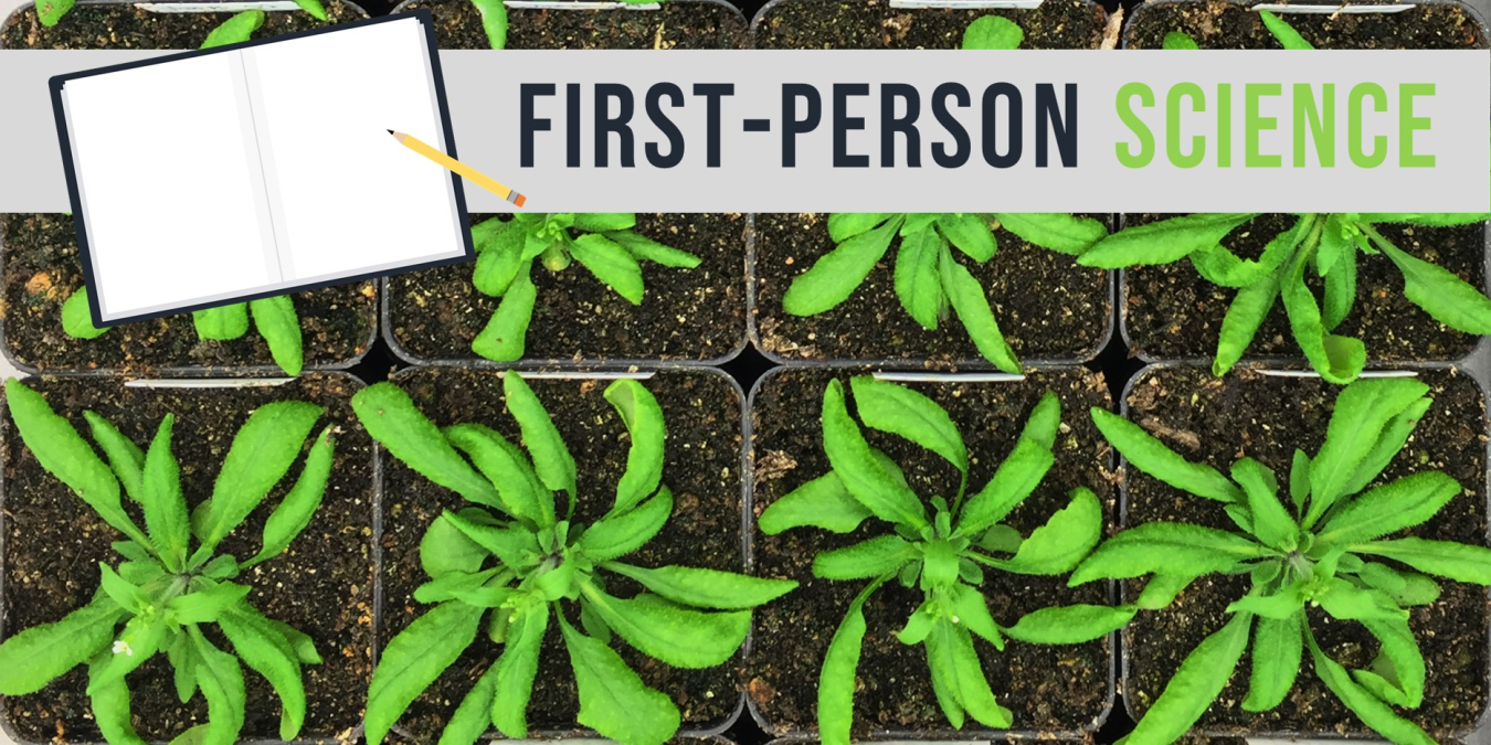 Through more than a decade of research, Christoph Benning’s team gained major insights into lipids essential for plants’ photosynthetic systems.