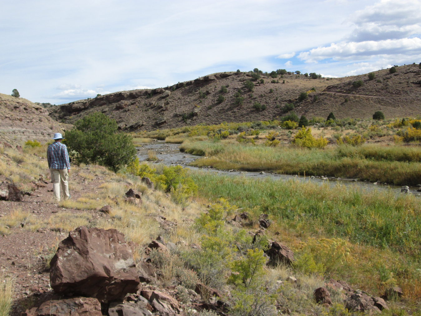 Invasive species management on ULP lease tracts along the banks of Colorado’s Dolores River has restored native plant species, improved riparian habitat, and created a healthier ecosystem.