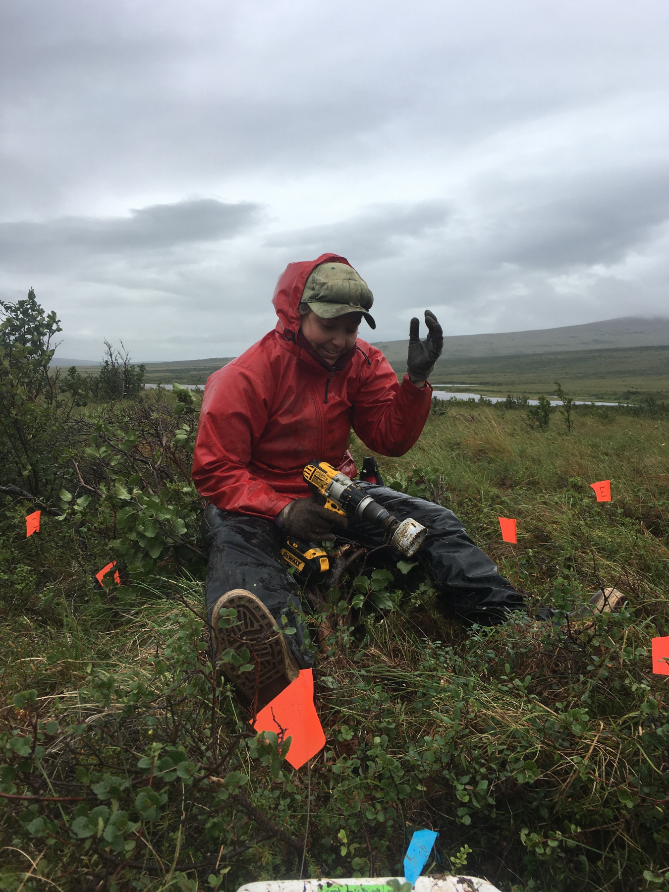 Ecosystem Ecologist Verity Salmon captures and analyzes field data from sites in in Alaska and Minnesota to inform earth system models that are being used to predict environmental change. 