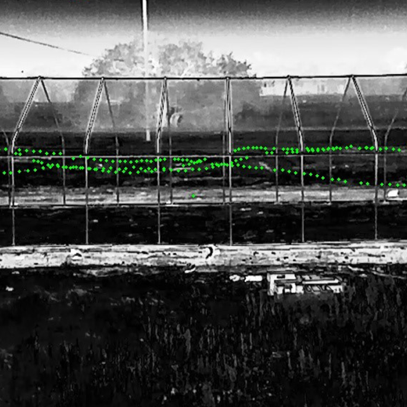 Photo of bat flight tracking.