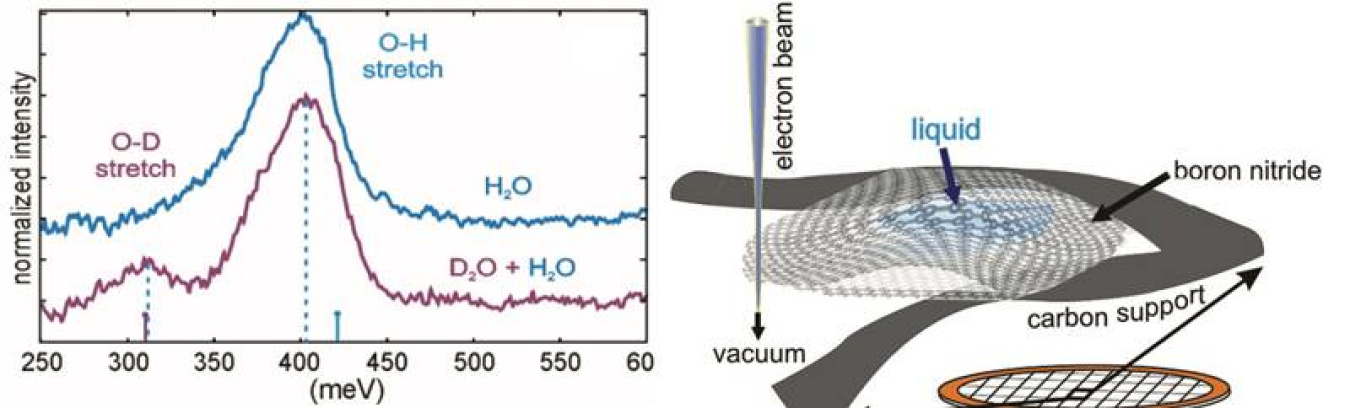 Scientists combined imaging and microscopy to study the vibrational properties of water at nanoscale. Electron microscopy of a sample between boron nitride sheets (right) distinguished between hydrogen (O-H) and deuterium (O-D) vibrational modes (left).