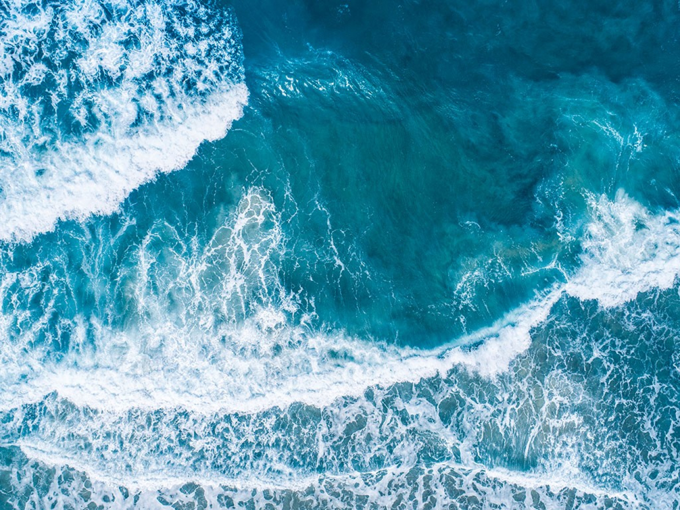 The ocean’s surface.