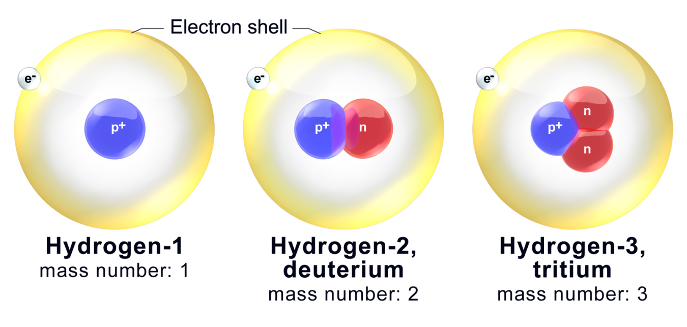 Hydrogen and its two naturally occurring isotopes, deuterium and tritium. All three have the same number of protons (labeled p+) but different numbers of neutrons (labeled n).