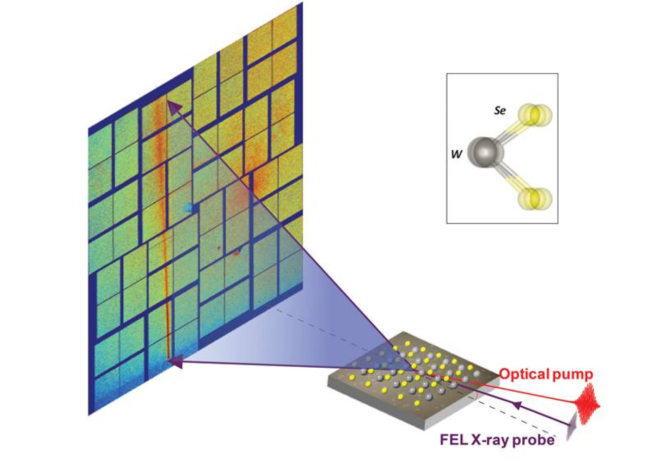 An ultrafast X-ray probe scatters from a molecular sheet (grey and yellow) energized by laser light. A multi-element detector captures the scattered X-rays (purple), making a distinctive pattern that correlates with atoms’ positions and vibrations.