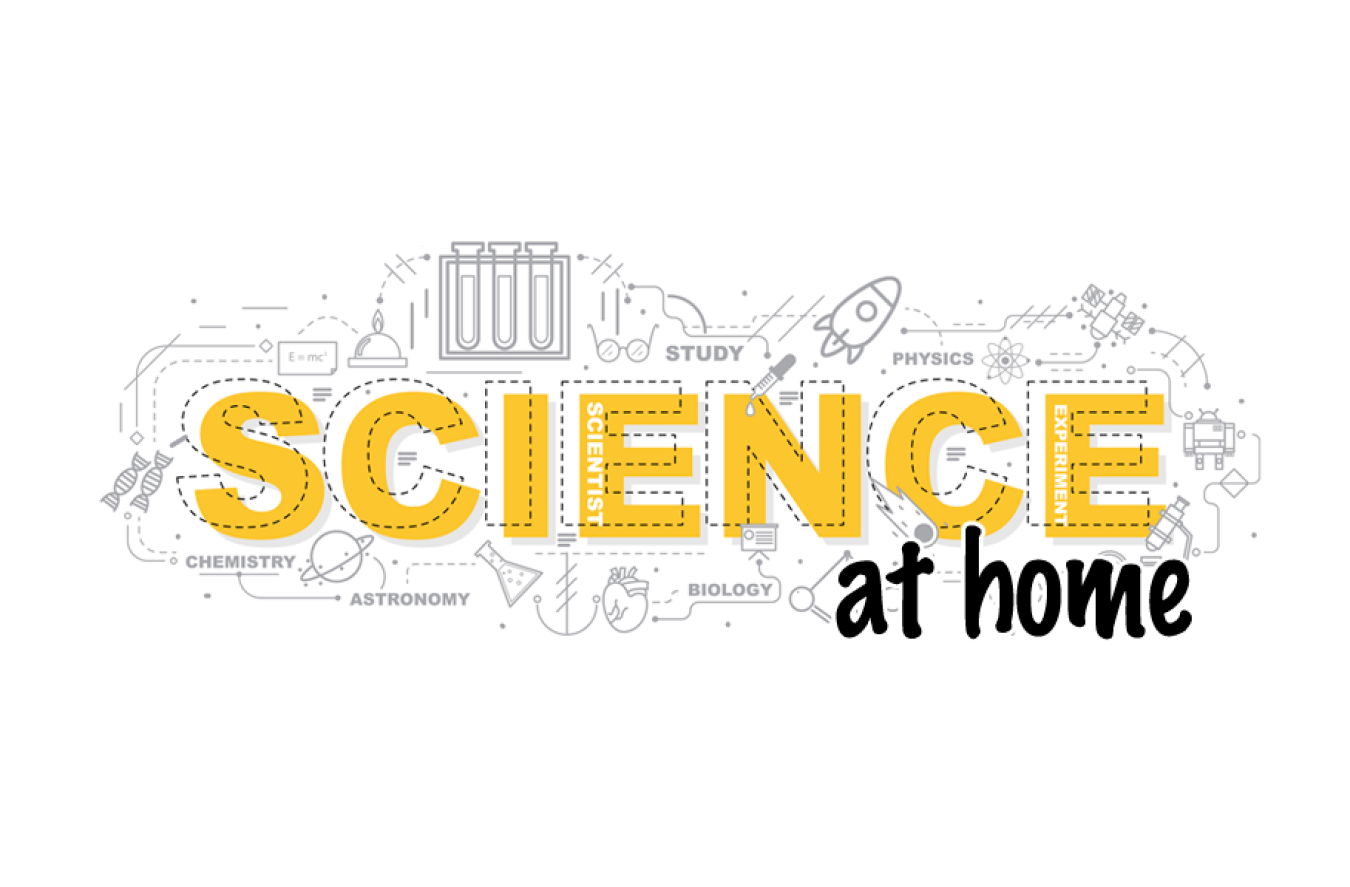 Brookhaven National Lab STEM at Home