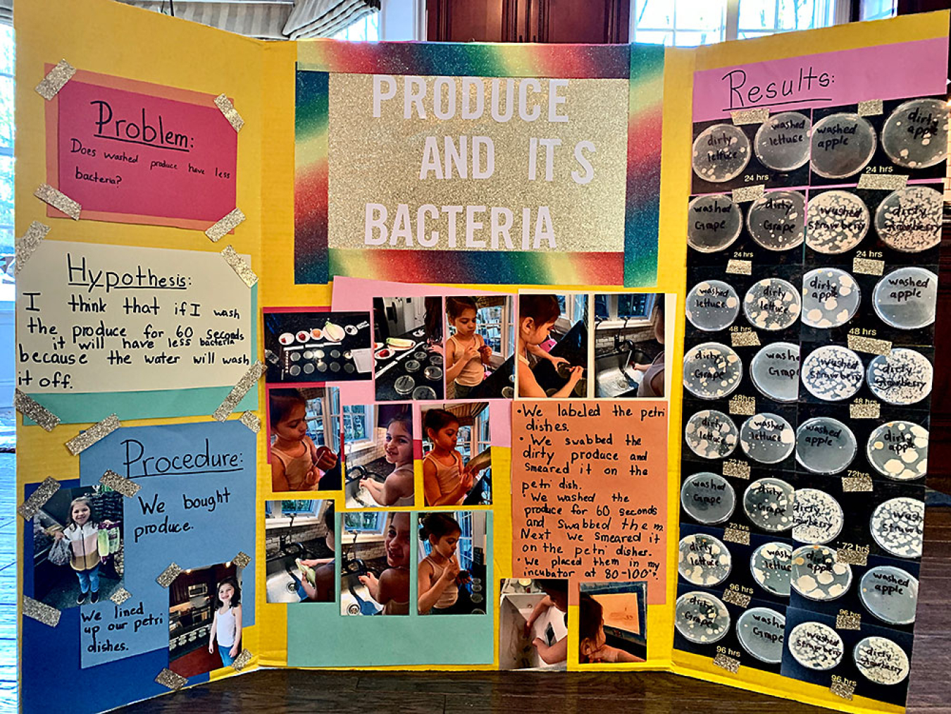 Celia Gaeta, a first grader in the Shoreham-Wading River School District, did an experiment to find out whether produce had less bacteria after being washed. Her project is one of more than 45 submitted for the new Science Share program.