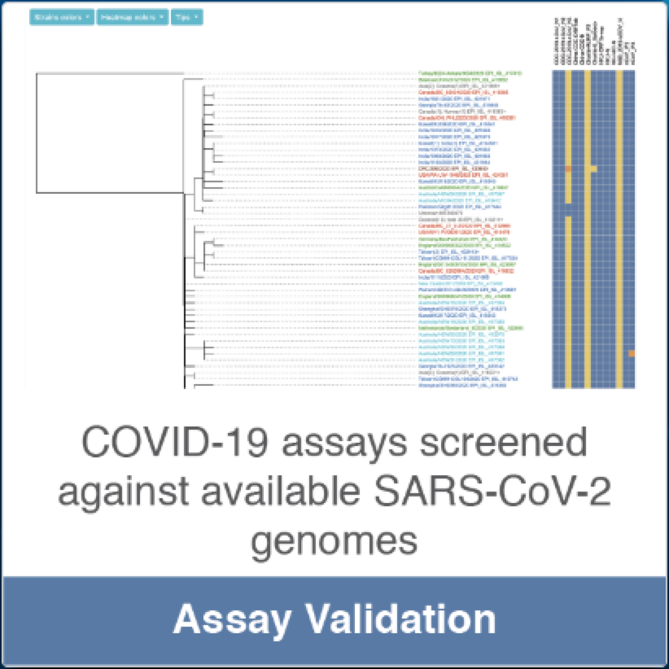 COVID-19 assay screening results