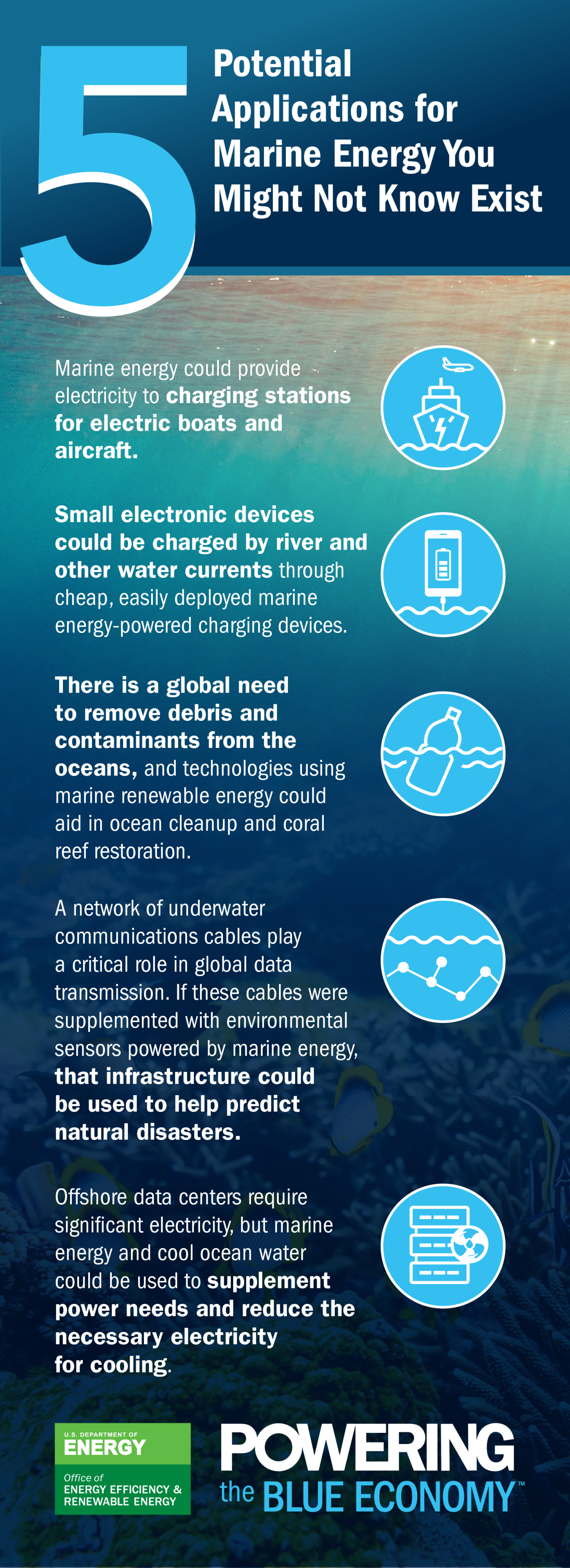 world ocean month infographic wpto