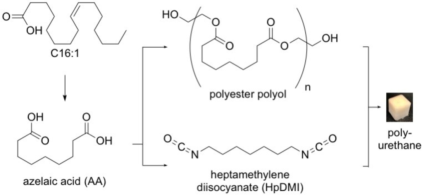 A Chemical formula of the conversation to polyurthane