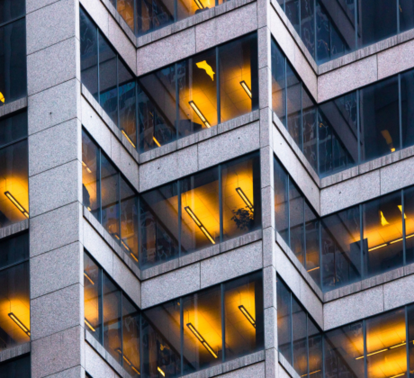 A slice of the exterior of a commercial building, showing lots of windows with lighting on inside.