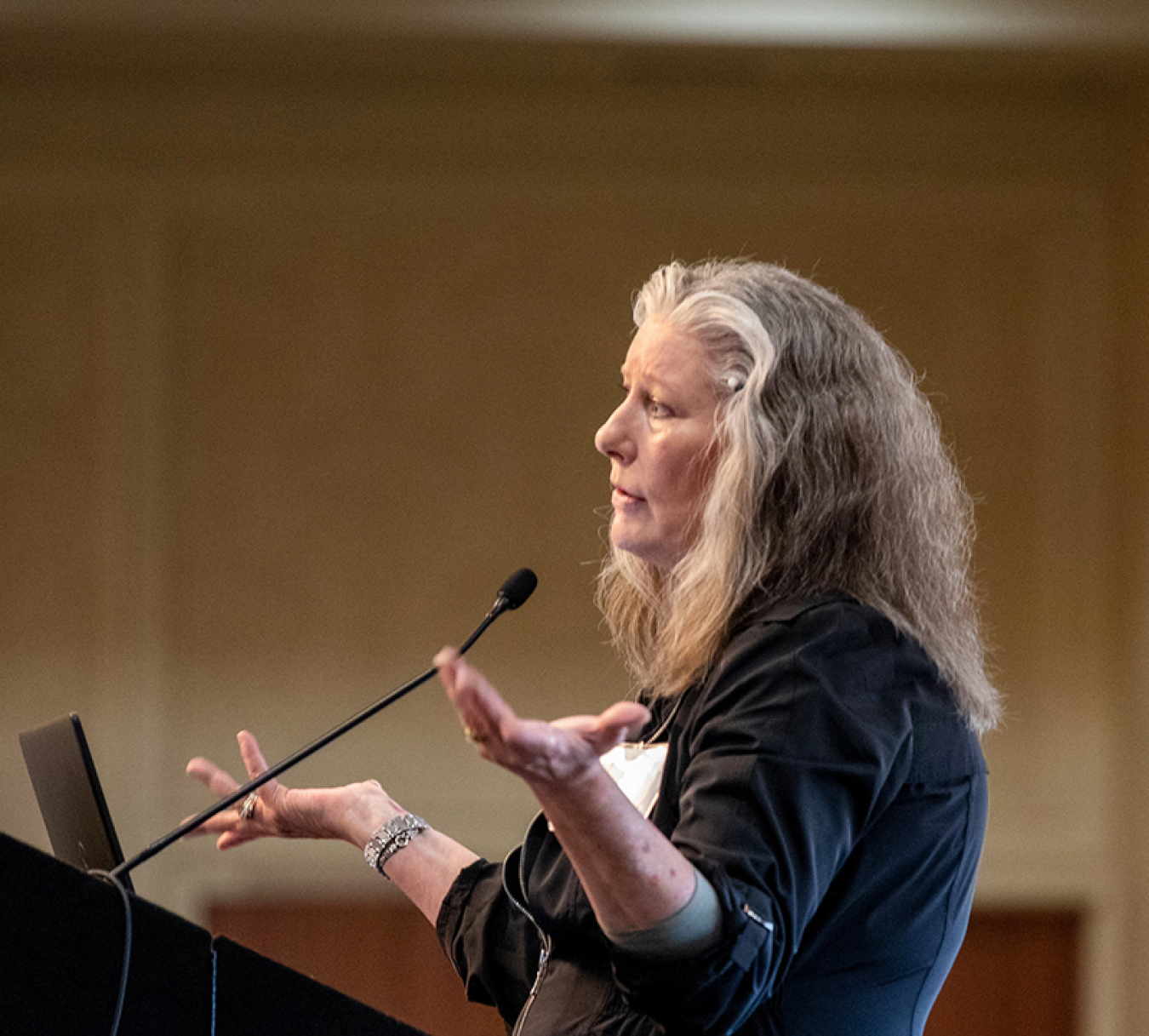 Woman at a podium at the Program Review.