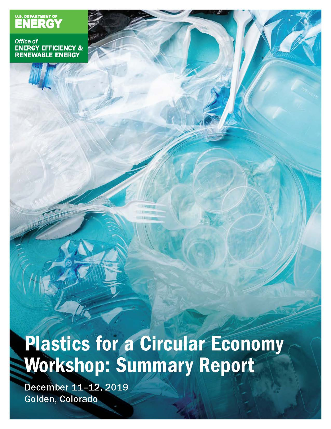 screenshot of the Plastics for a Circular Economy Workshop: Summary Report