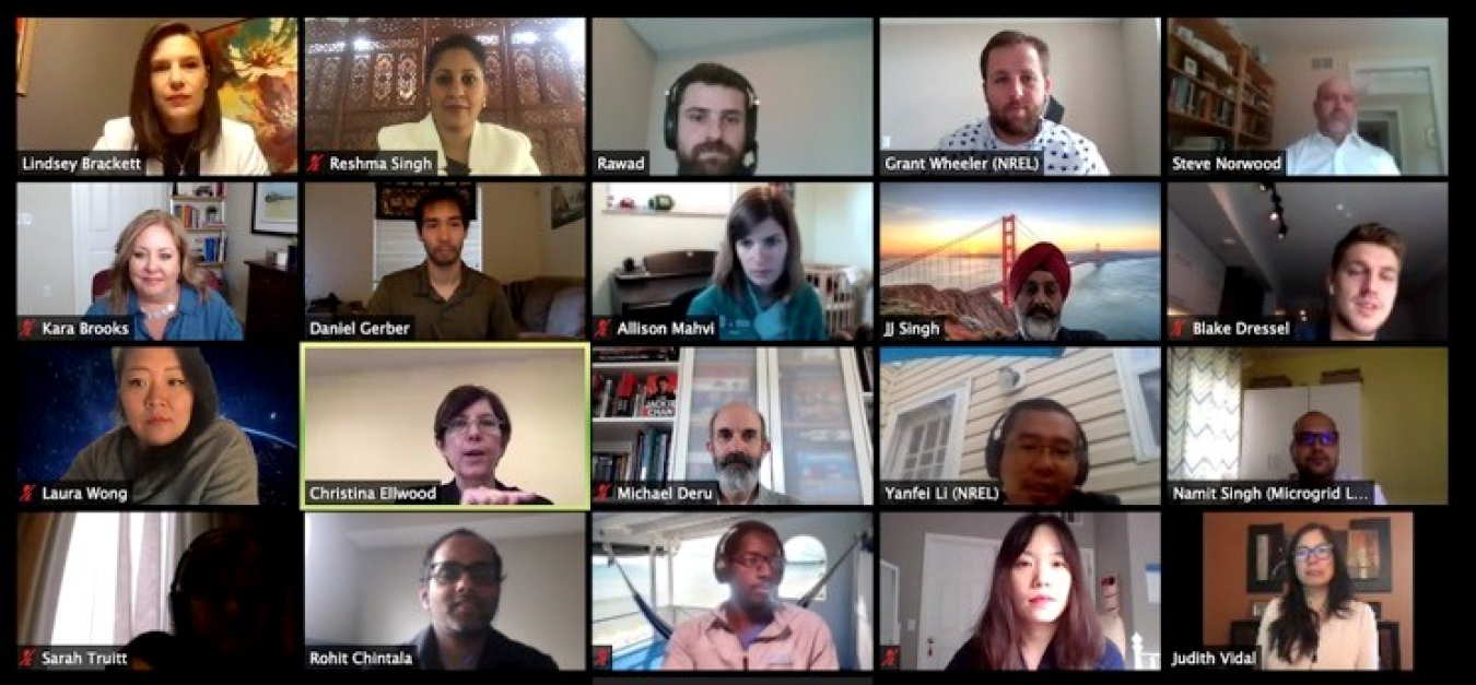 Images of attendees of a virtual meeting: Glimpses from the IMPEL+ Virtual Workshop, June 2020.